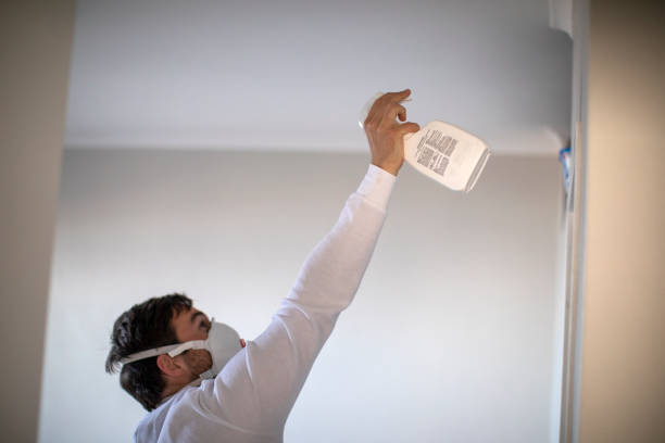 Best Mold Remediation for Specific Building Types in Morada, CA